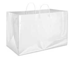 Jumbo Take-Out Bags - 22 x 14 x 15